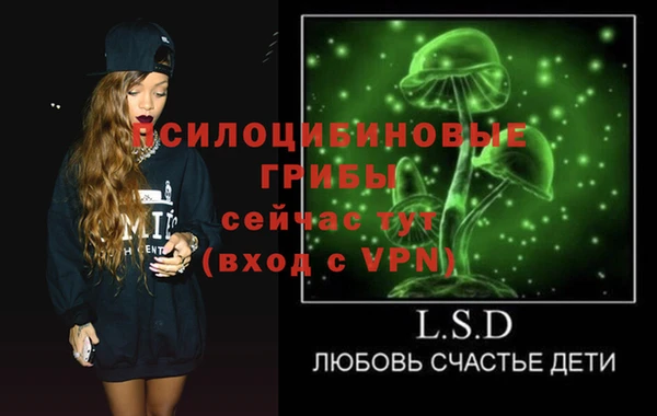 apvp Верея