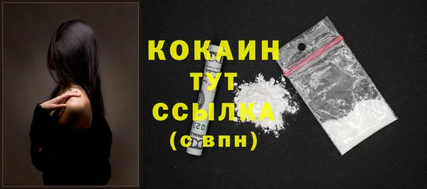 apvp Верея