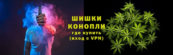 apvp Верея