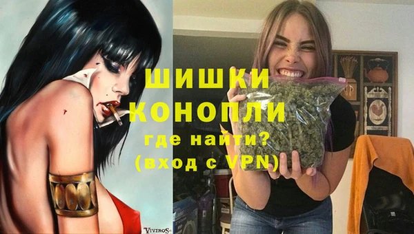 молекула духа Верхний Тагил