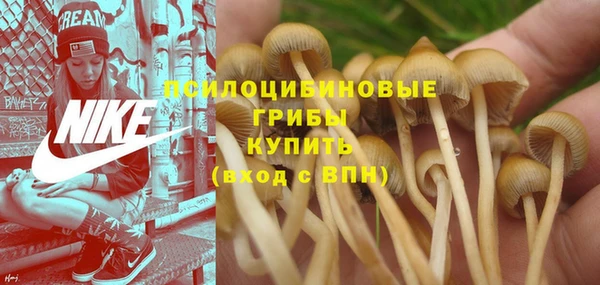 молекула духа Верхний Тагил