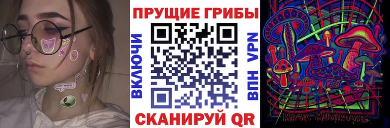 Галлюциногенные грибы Cubensis  Мещовск 